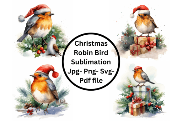 Reviewing the Christmas Robin Bird Sublimation Design