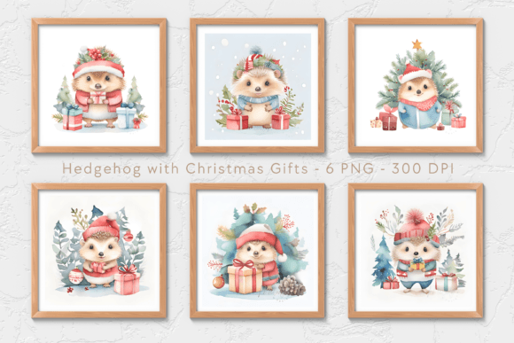 Watercolor Hedgehog Illustrations Review